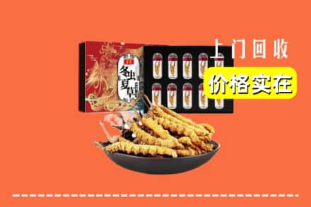 铜川王益区回收虫草