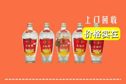 诚信求购:铜川王益区高价回收老五粮液